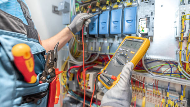 Best Electric Panel Repair  in Seminole, FL